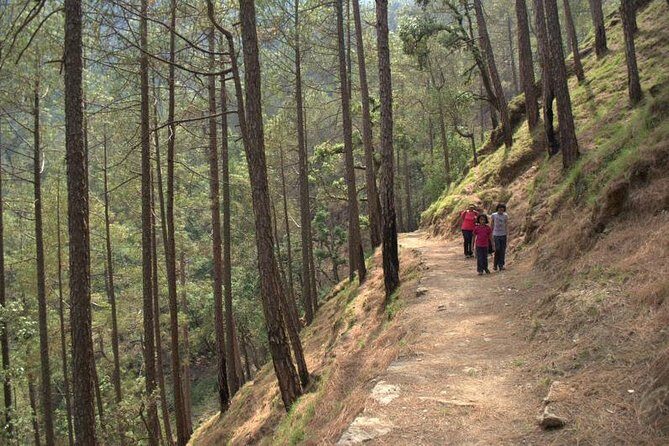 Binsar Sanctuary Walking Holiday - Why This Tour Works