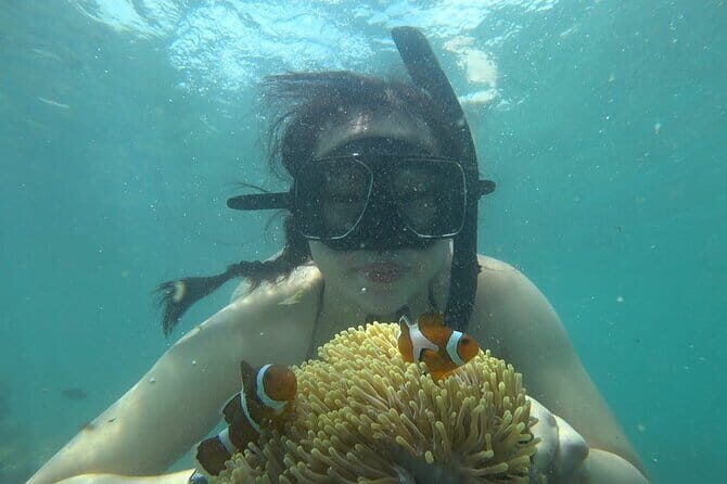 Bintan Island Snorkeling, Kayaking and Fun Fishing Activity - Why This Tour Is a Great Value