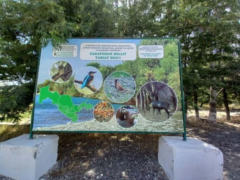 Bird Watching Tours in Samarkand - The Practicalities and Value