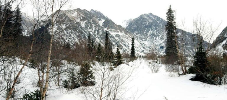 Bishkek: Ala Archa National Park Hiking and Adventure Tour - Practical Tips for Travelers