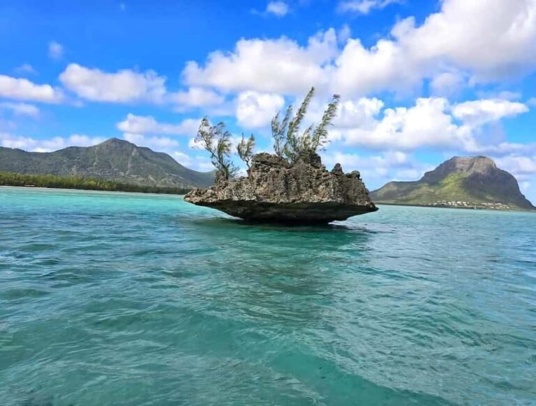 Black River: Swim with Dolphin Speed Boat Tour with lunch - Practical Details