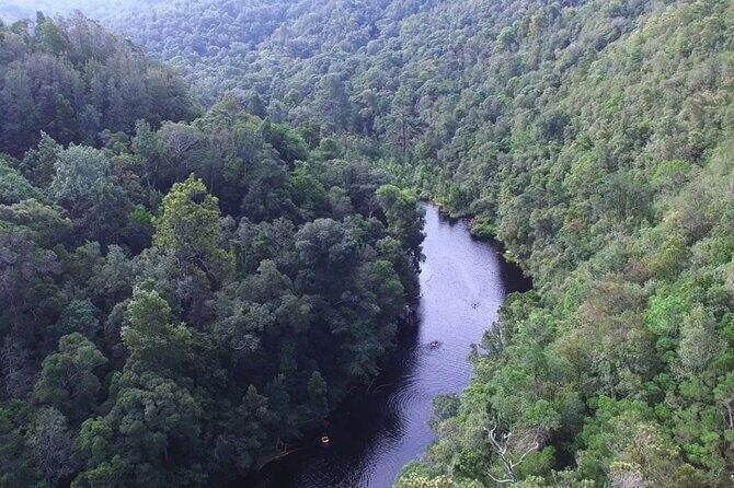 Blackwater Tubing Green Route Forest Adventure - The Sum Up
