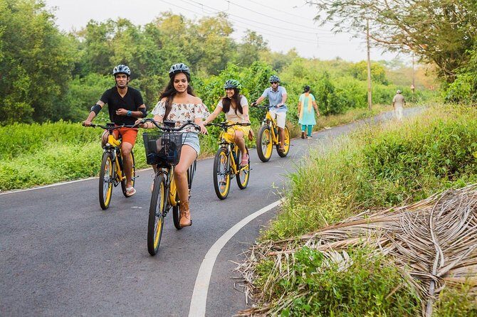 BLive Electric Bike Tours  Discovery of Divar Island - The Sum Up