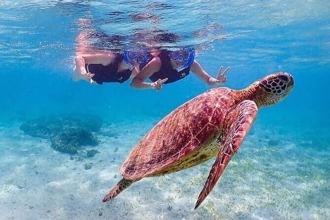 Bloo Lagoon Snorkeling East Bali Includes Transportation & Lunch - What’s Included & What to Consider