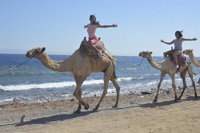 Blue Hole and Dahab City from Sharm El Sheikh - Authentic Experiences in Focus