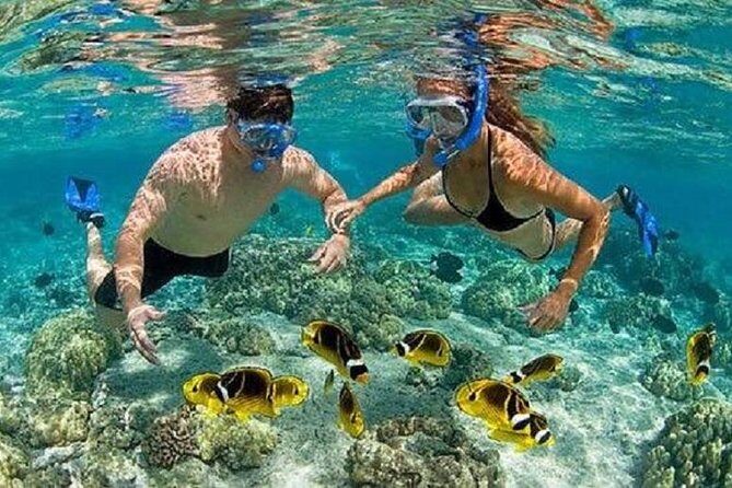 Blue Lagoon Snorkeling and Lunch with Visit Tegenungn Waterfall in Ubud - Who’s This Tour Best For?
