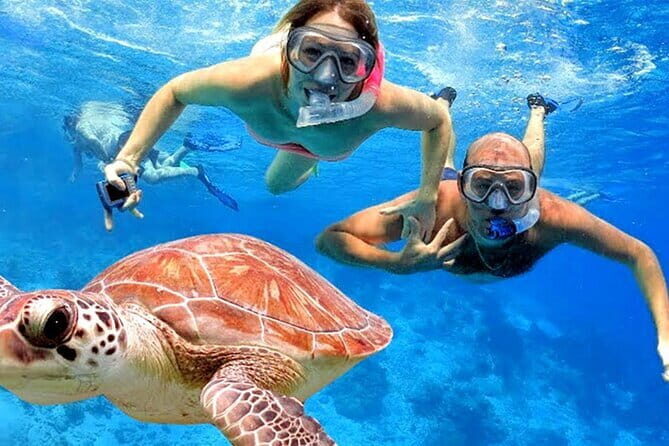 Blue Lagoon Snorkeling with Lunch and Private Transport - Practical Details and Tips