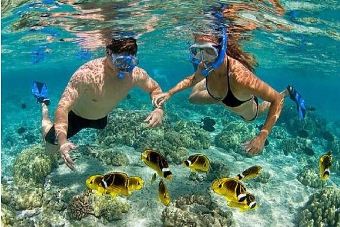 Blue Lagoon Snorkling activities - The Experience in Practice