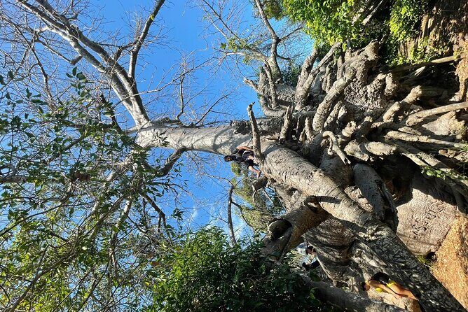 Blue Safari Tour - Who Will Love This Tour?