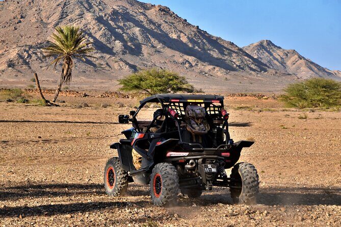 Boa Vista 2h Buggy Death Valley Adventure 1000cc - Authenticity and Value