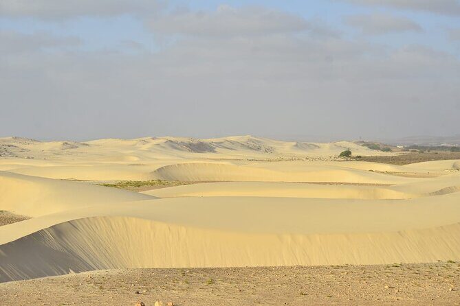Boa Vista Tour: Santa Mónica, Desert & Shipwreck - Itinerary Breakdown: What to Expect