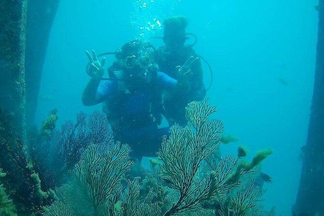 Boat Scuba Diving at Neil Island - What to Expect from Your Neil Island Boat Scuba Dive