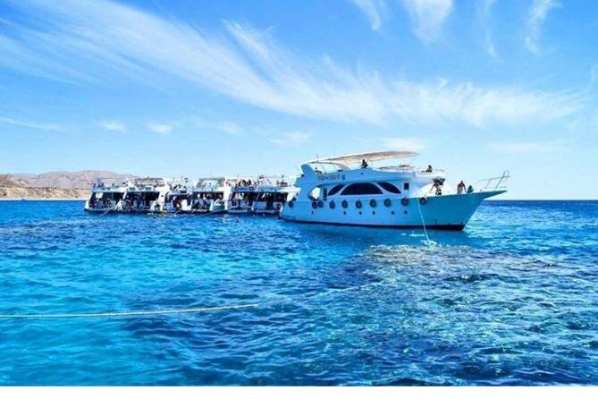 Boat Trip to Ras Mohamed & White island Red Sea & Snorkeling in Sharm elsheikh - Who Will Love This Tour?
