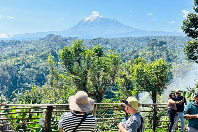 Bodaboda Experience to Materuni Waterfall and Coffee Tour - Practical Details: What You Should Know
