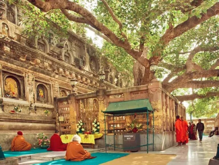 Bodhgaya: Buddhist Pilgrimage Temple & Monastery Day Tour - Understanding the Value of This Tour