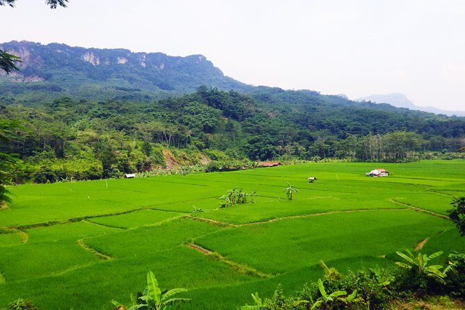 Bogor Botanical Garden & Rainforest Trekking to Hidden Waterfall - Why This Tour Is Worth It