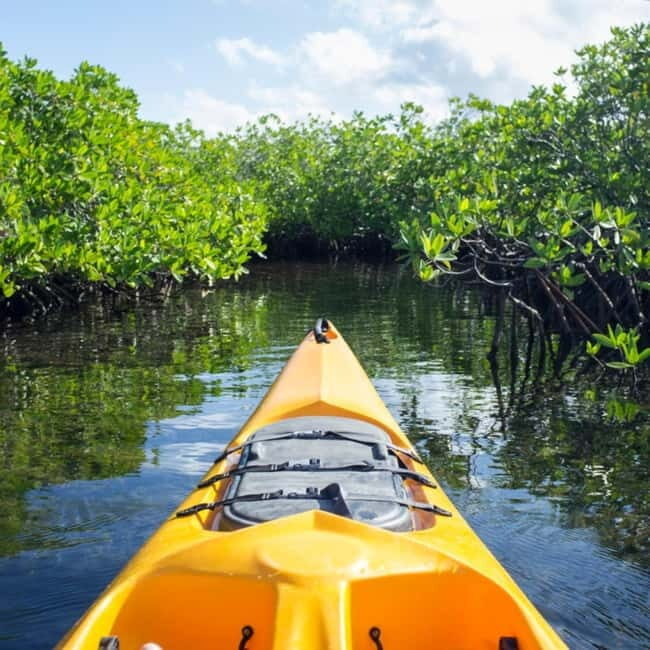 Bohol: Alburquerque Recreational Tour - What to Expect on the Tour