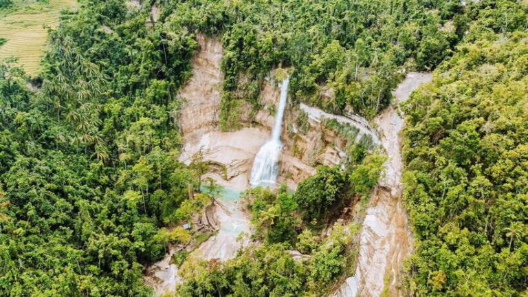 Bohol Candijay Rice Terraces, Water Falls & Anda Beach - Starting the Day: Convenient Pickup & Transport