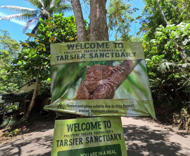Bohol: Chocolate hills Private Eco-Tours - What’s Included and What’s Not