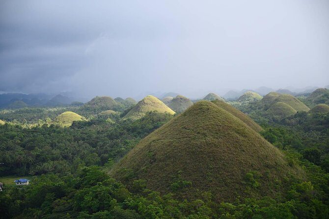 Bohol Chocolate Hills & Tarsiers with roundtrip ferry from Cebu - What’s Included and What’s Not