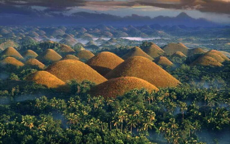 Bohol: Countryside Tour with Loboc (Buffet Lunch) - The Scenic Loboc River Cruise and Lunch
