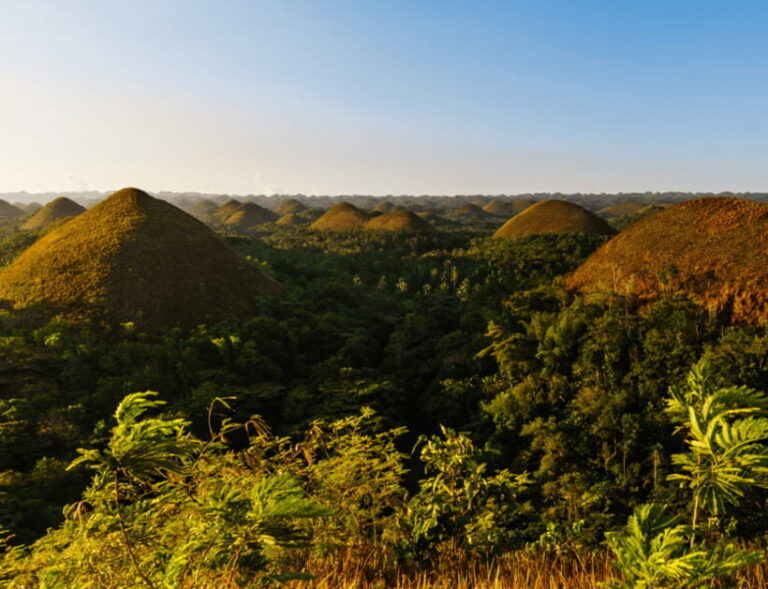 Bohol: Countryside Tour with Tarsiers and Chocolate Hills - The Historic Blood Compact Site