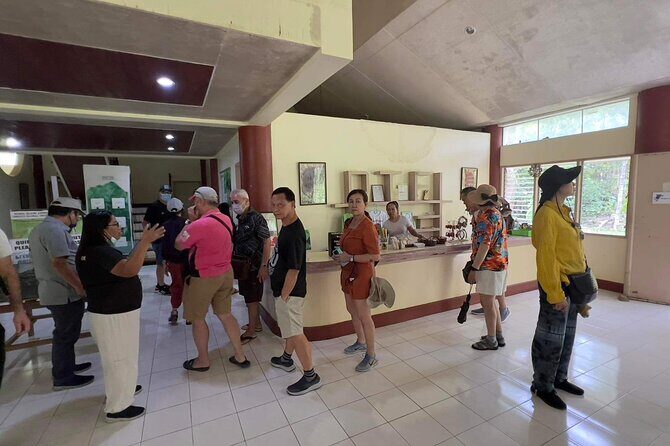 Bohol Day Tour with Round-Trip Transfers from Cebu - Transportation and Group Size