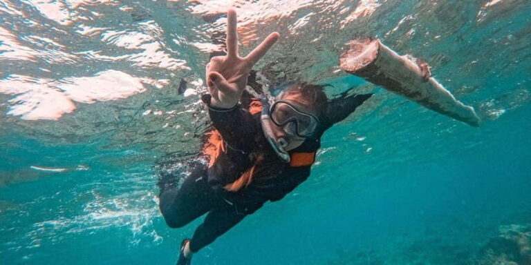 Bohol: Dolphin Watching & Balicasag Island Hopping Tour - What to Expect at Each Stop