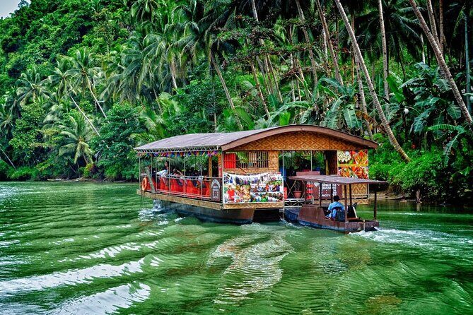Bohol Highlights Tour: Chocolate Hills, Tarsier Spotting and Loboc River Cruise - How the Experience Feels