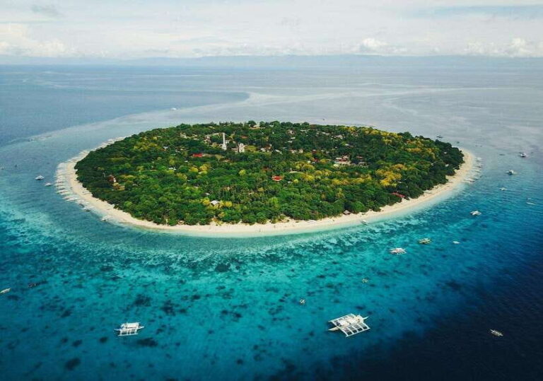 Bohol Island Hopping Tour (Private Tour) - What to Expect: Realities and Practical Tips