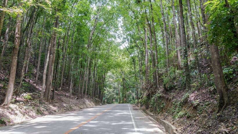 Bohol: Private Countryside Tour with Buffet Lunch - Practical Details and Value