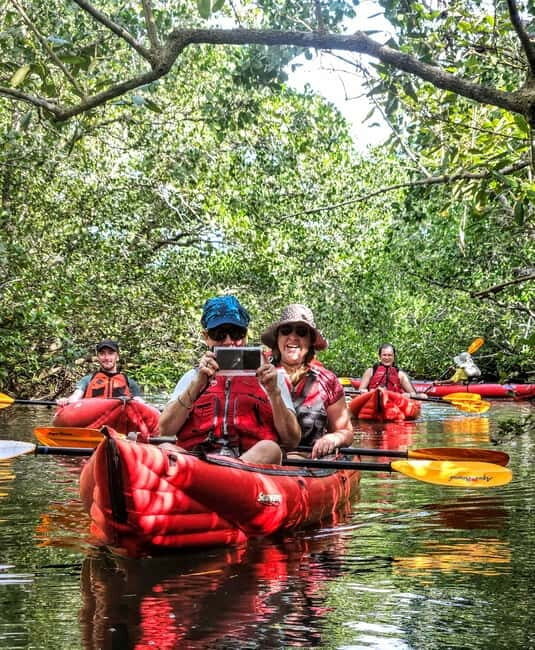 Bohol: SUSTAINABLE Mangrove Tunnels & Firefly Kayaking trail - What Reviewers Say