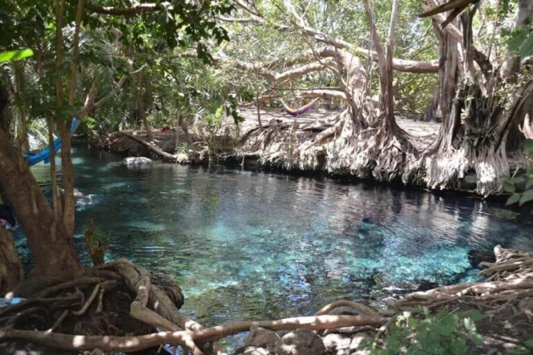 Boma Ng'ombe: Chemka Hot Springs Day Trip - The Itinerary: From Arusha to Natural Bliss