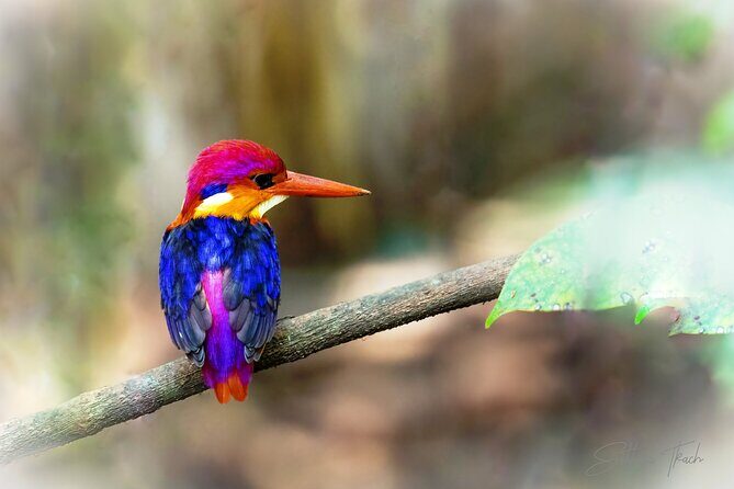 Bondla Wildlife Sanctuary with Lunch in Spice Plantation in Goa - A Closer Look at the Experience