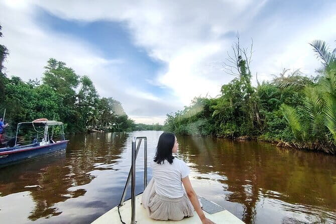 Bongawan River Cruise Proboscis Monkey, SkyMirror, Fireflies - What Do Real Travelers Say?