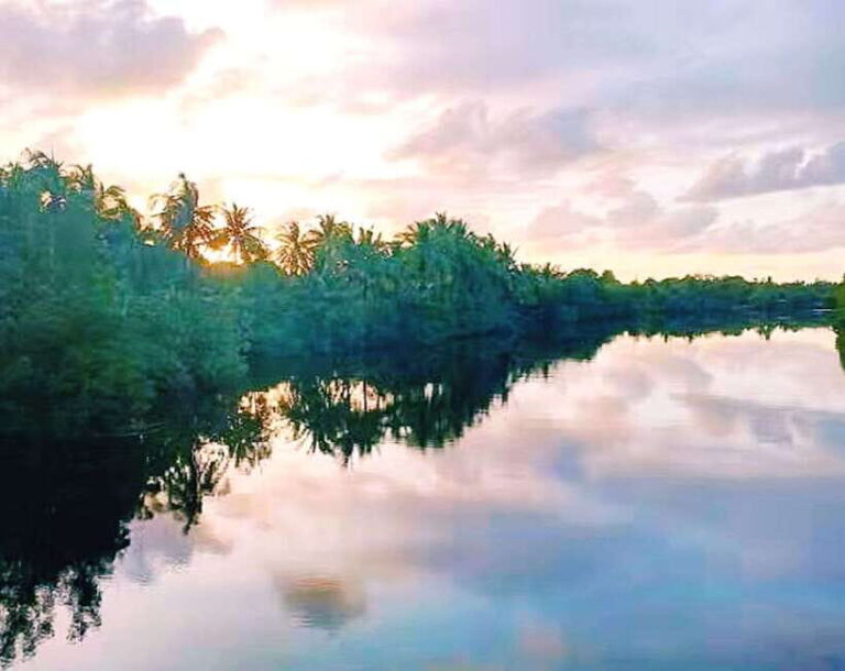 Bongawan Wetland: Proboscis Monkey and Fireflies Shared Tour - Practical Details and Tips