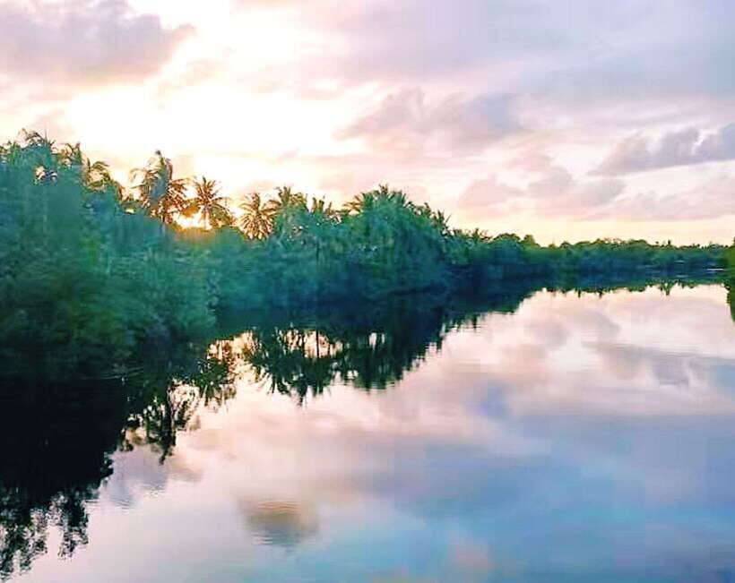 Bongawan Wetland: Proboscis Monkey and Fireflies Shared Tour - Practical Details and Tips