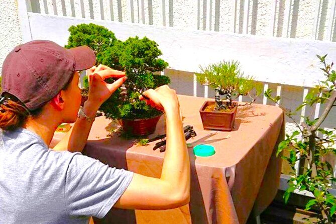 Bonsai Tour & Experience at the Most Sacred City for Bonsai in JP - Why This Tour Works for Travelers