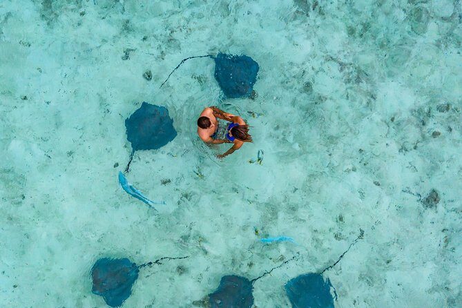Bora Bora Eco Snorkel Cruise Including Snorkeling with Sharks and Stingrays - The Sum Up