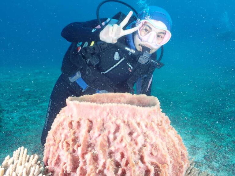 Boracay: Introduction to Scuba Diving Experience - The Value for Money