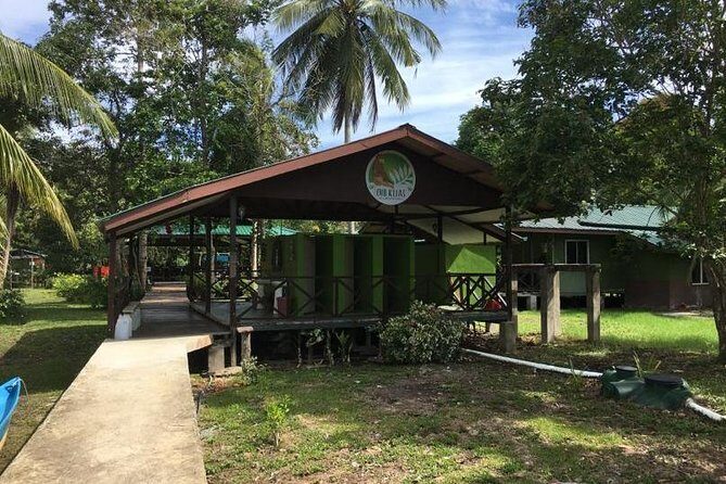 Borneo (Klias) River Cruise & Fireflies Tour - The Sum Up: Who Will Love This Tour?