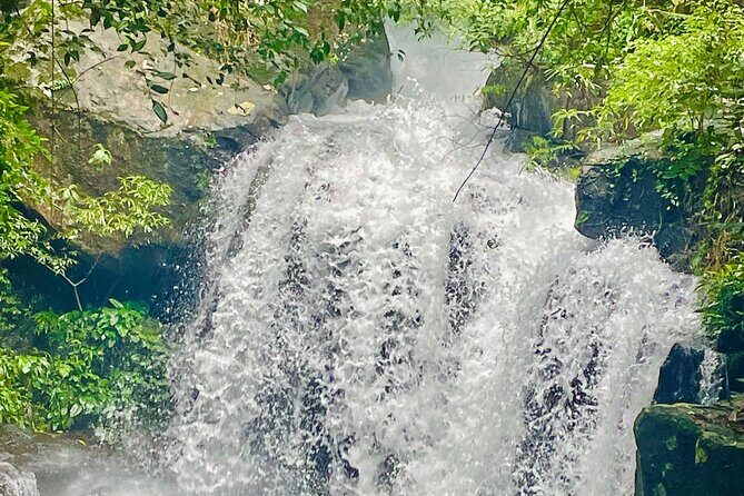 Botanic Garden - Paradise Cave - Zipline at Dark Cave - Duck Farm - What We Appreciate