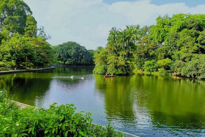 Botanic Gardens & Tiong Bahru Walking Tour with Breakfast - Gallop Park & Woollerton Park: The Ultra-Rich’s One-Percenter Homes