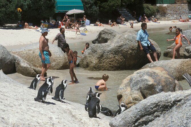 Boulders Beach Cape Town: Swimming With Penguin & Close Encounter Half Day Tour - Exploring the Vibrant Bo-Kaap