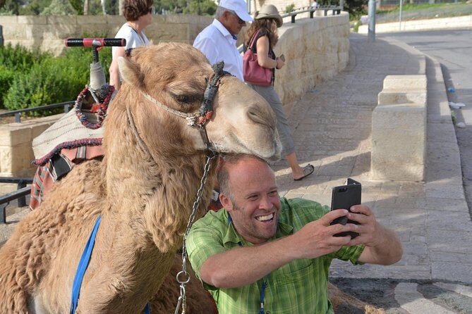 Boutique Walking Tour of Jerusalem - Guide and Logistics