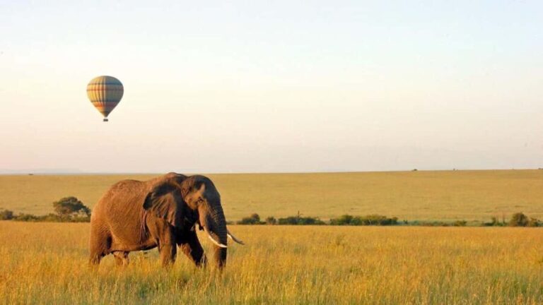 Breathtaking to Lake Manyara National Park Daytrip - What’s Included and What’s Not