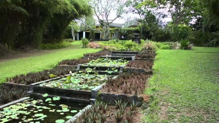 Brief Garden: The Artistic Legacy of Bevis Bawa - Who Will Love This Tour?