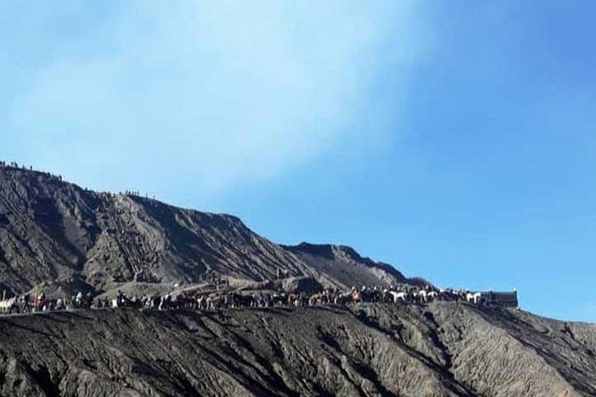 Bromo sunrise tour - start Surabaya // 1 day - Who Should Consider This Tour?