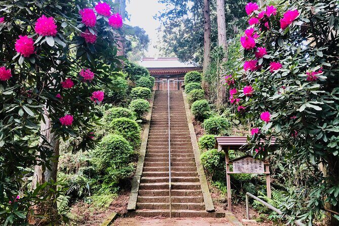 Buddha, Bamboo & Zen - Bespoke Kamakura Private Walking Tours - Who Should Consider This Tour?