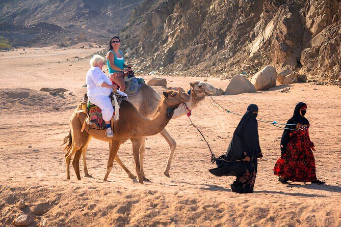 Buggy Safari and ATV, Camel Ride with Dinner at Hurghada - The Experience: What Makes It Special